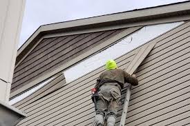 Best Siding Painting and Refinishing  in Maitland, FL